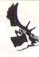 MiltonKeynesBucks.jpg (5075 bytes)